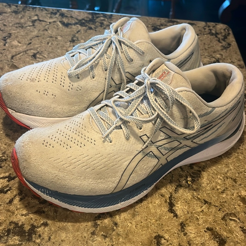 Asics Gel Kayano 29 Size 10.5 White and Blue